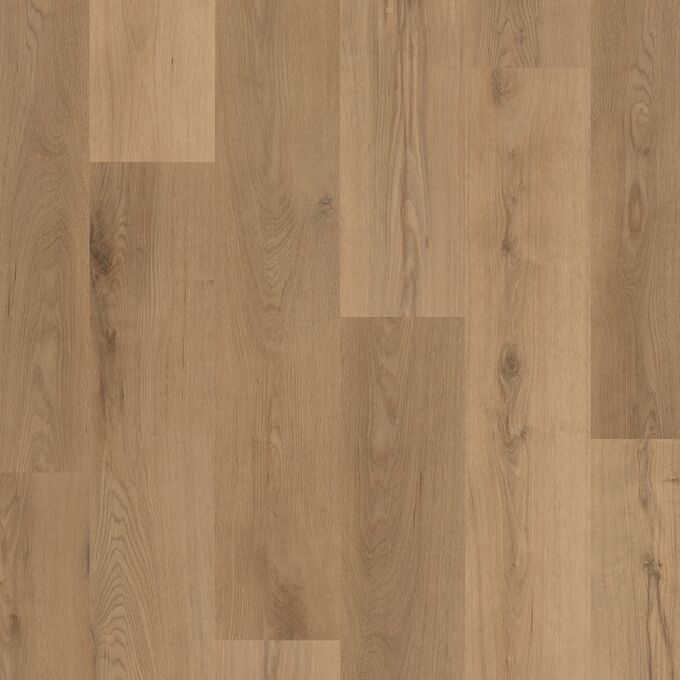 Brookland Oak 4387