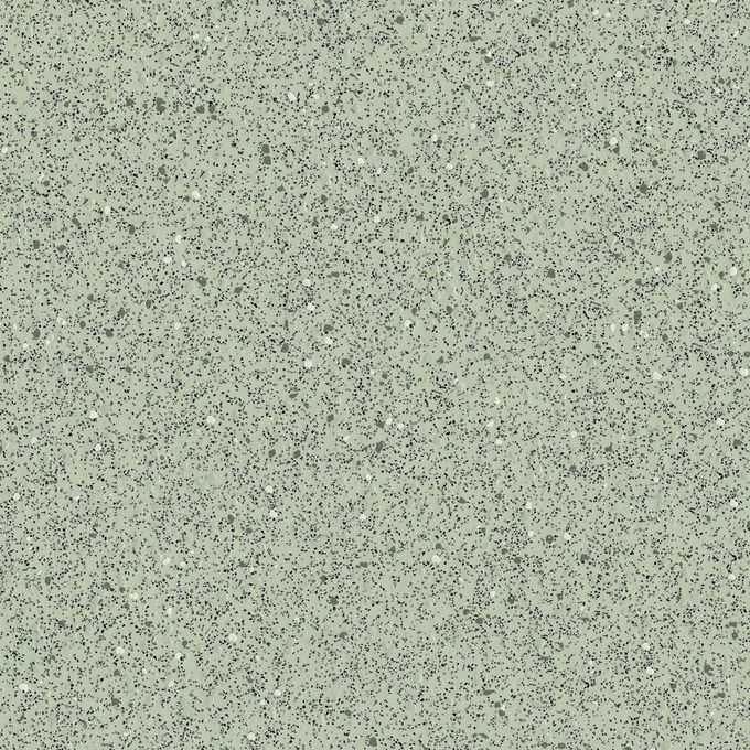 Grasshopper 5540
