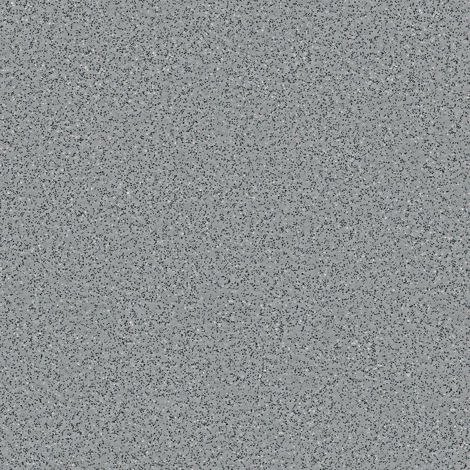 Silver Birch 4020