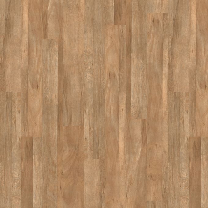 Mountain Alder 4401