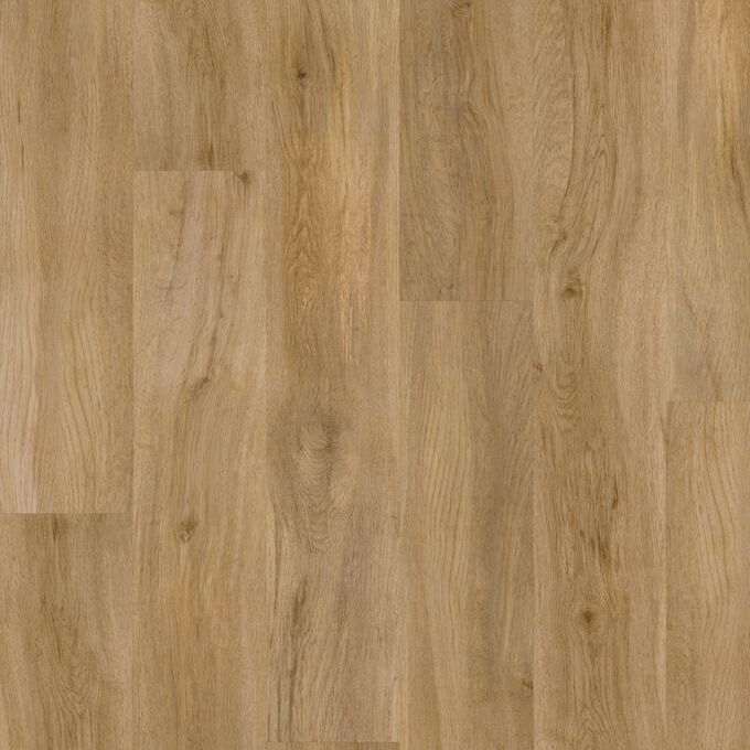 Evergreen Oak 4159
