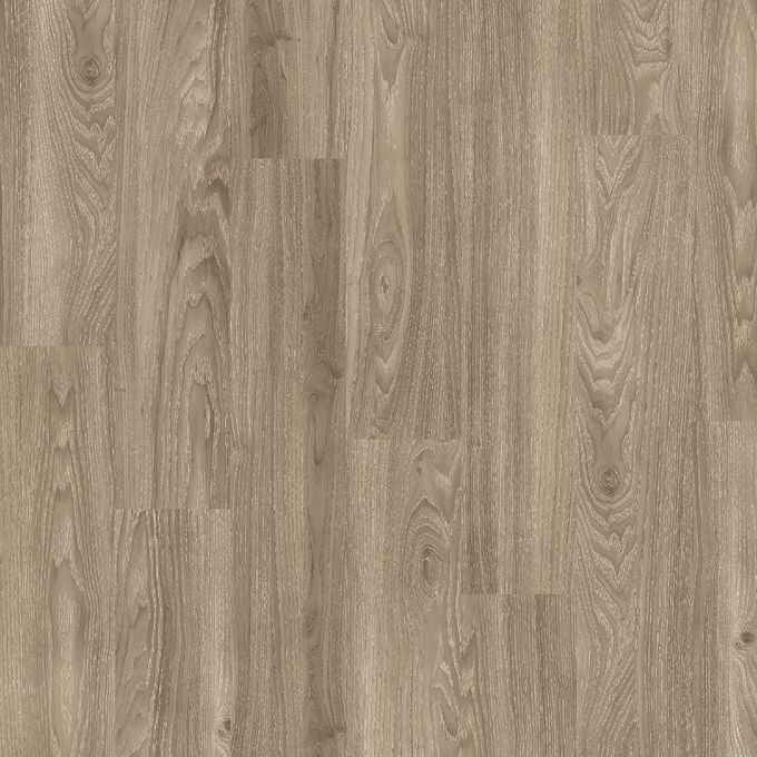 Light Elm 4034