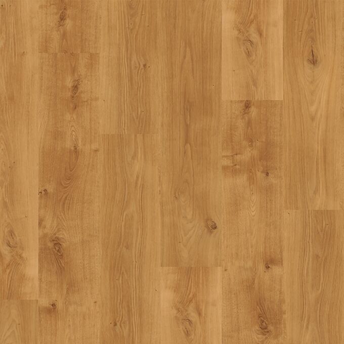 Light Cherry 9061