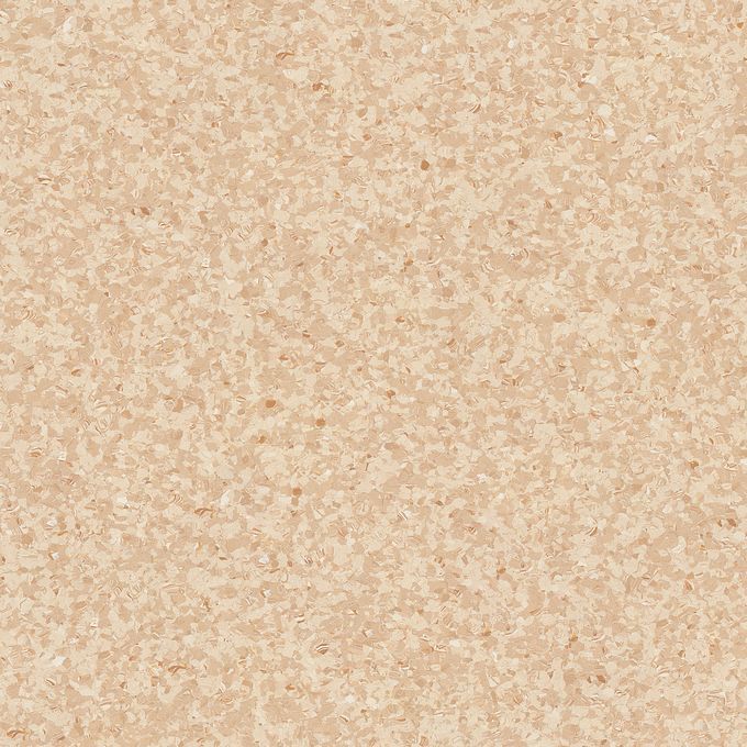 Shoreline 1460