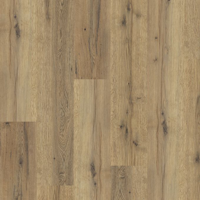 Everglade Oak 4101