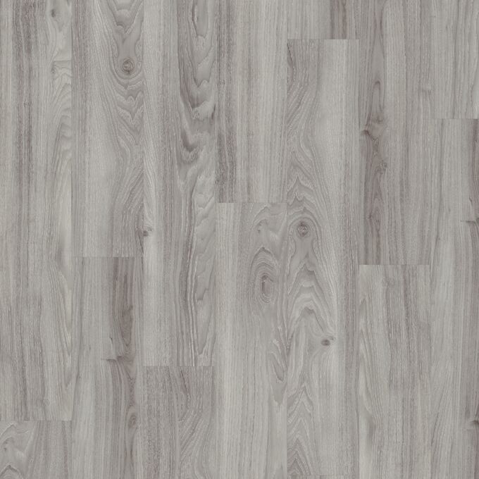 Grey Mountain Ash 4154