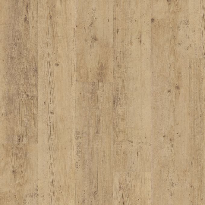 Shoreline Oak 4078