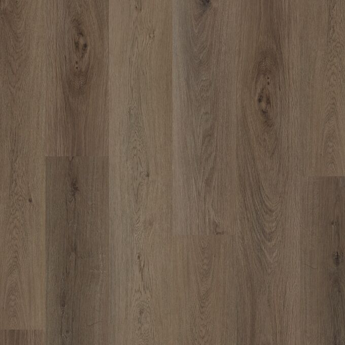 Bowland Oak 4391