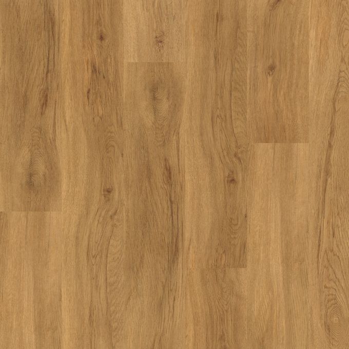 Butternut Oak 3443
