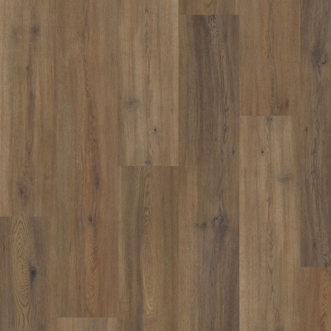 Astoria Oak 2259