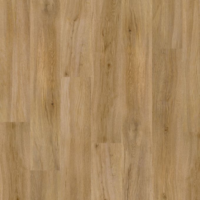 English Oak 4435