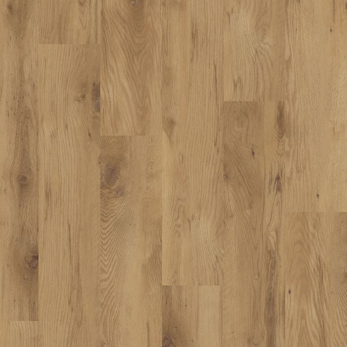 Honey Wild Oak 2572