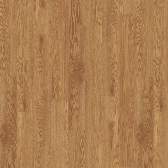 Classic Oak 1902