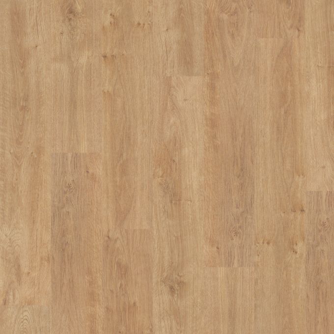 American Oak 6500