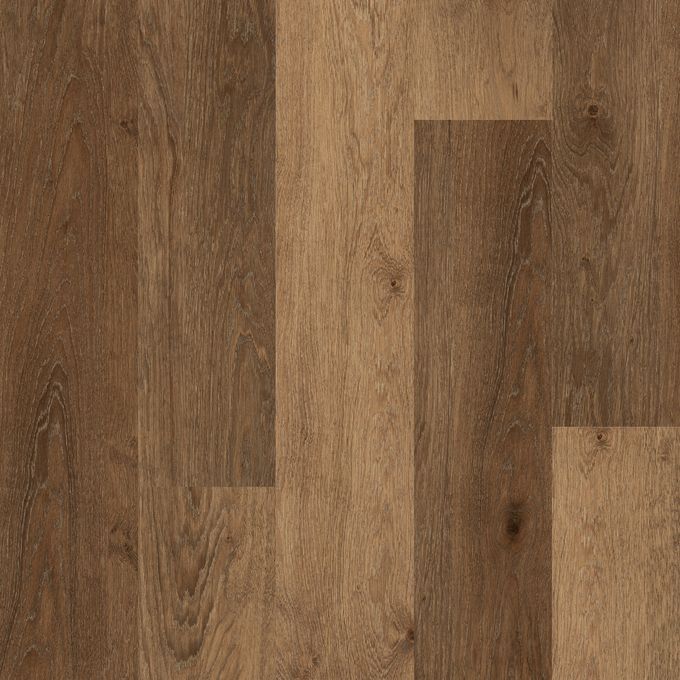 Provence Oak 4113