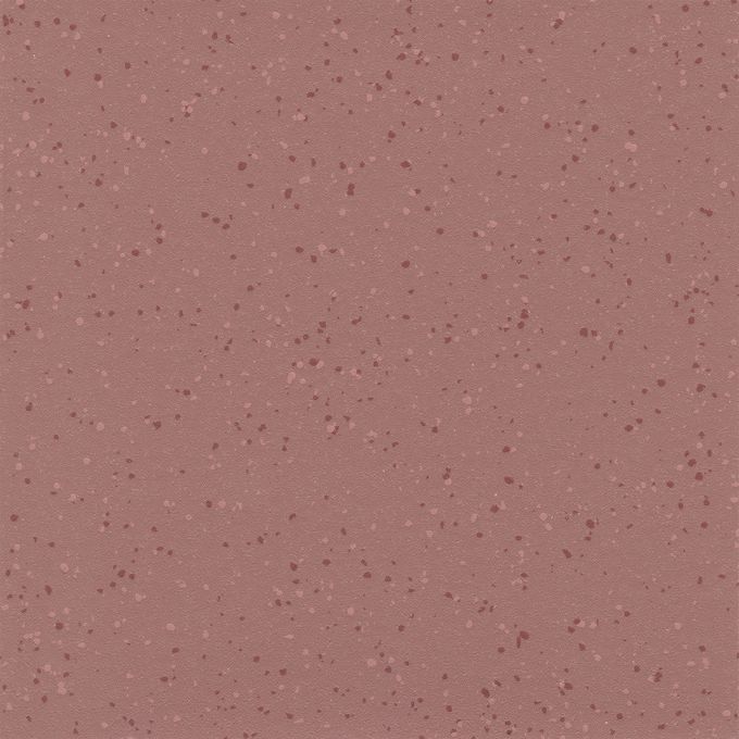Summer Coulis 5217