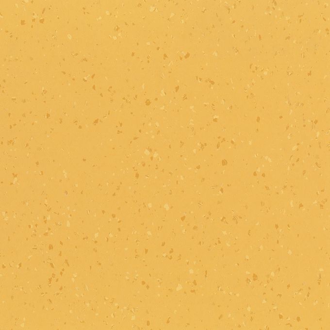 Buttered Corn 8656