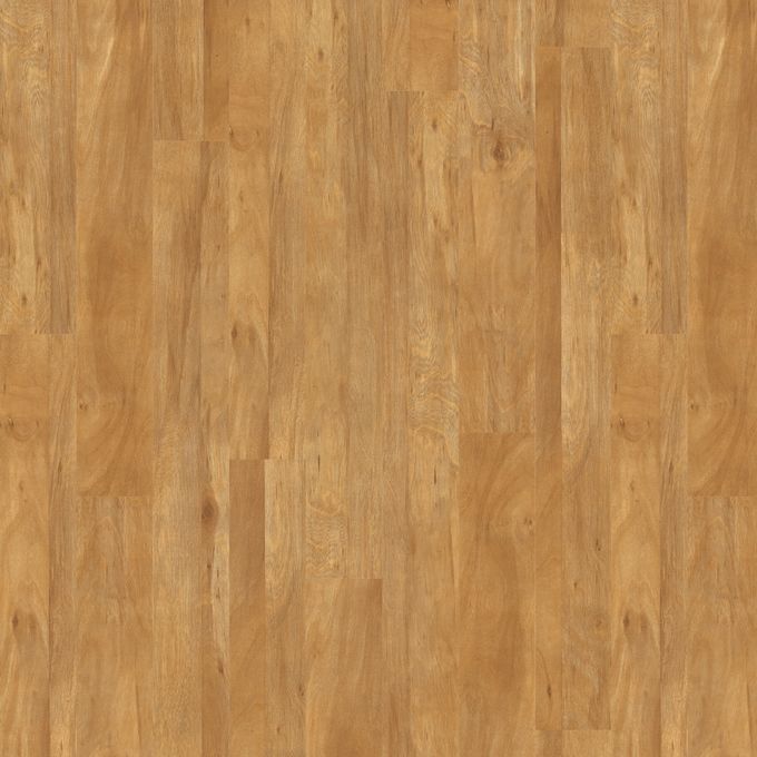 Golden Koa 4403