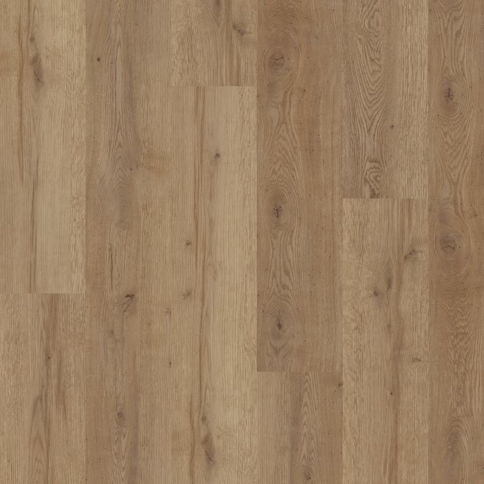 Manor Oak 3467