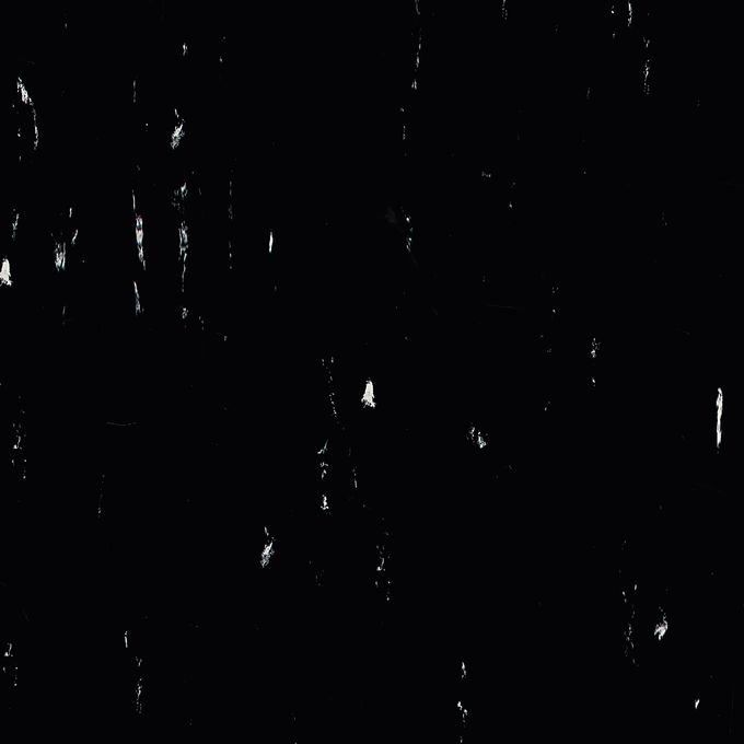 Black Panther 8640