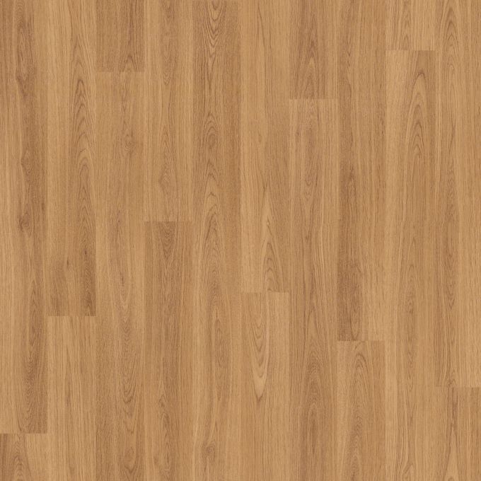 European Oak 3342
