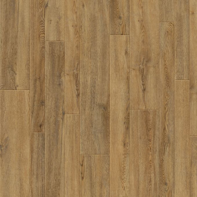 Enriched Variety Oak 2815