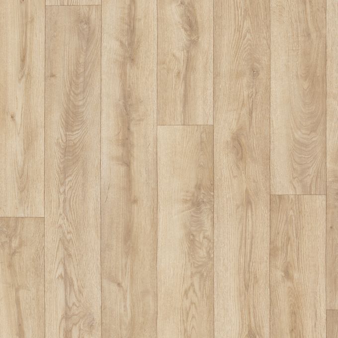 California Oak 2145