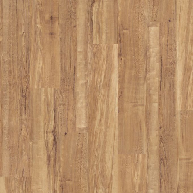 Nut Tree 6502