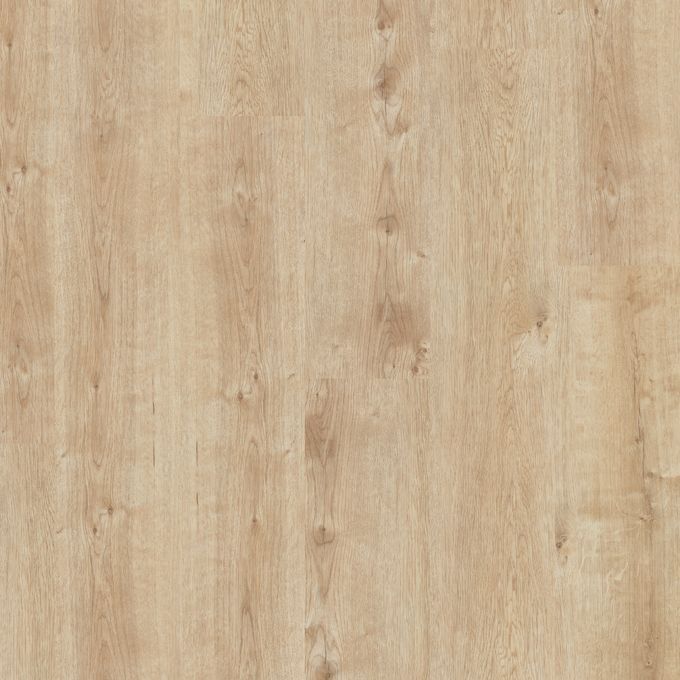 Champagne Oak 9874