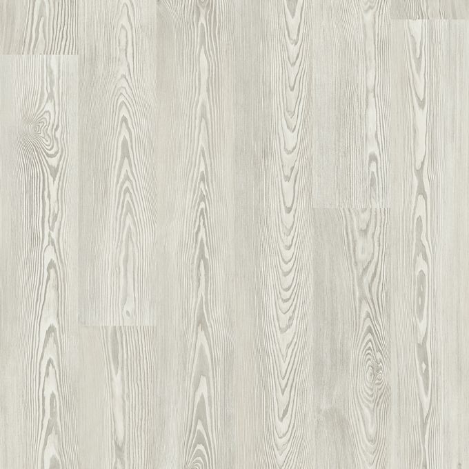 White Pine 9834