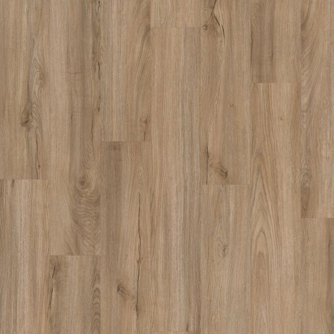 Hartland Oak 4158