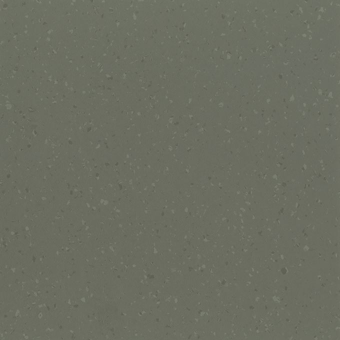 Dried Tarragon 8644