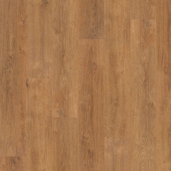 Classic Oak 6503