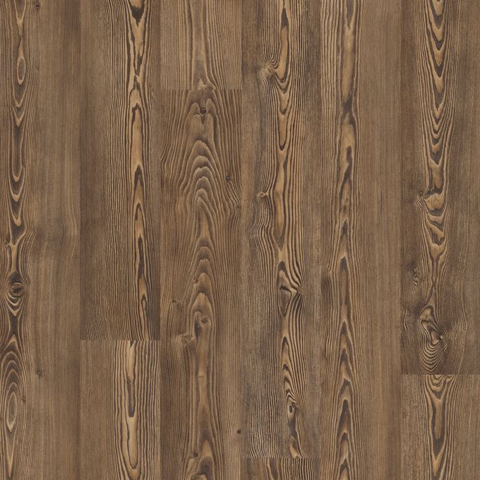 Bronzed Pine 9962