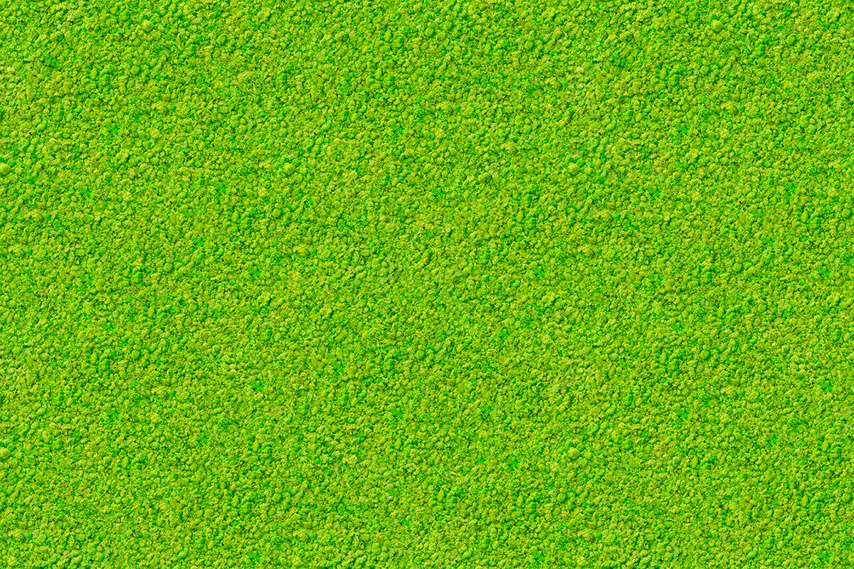 Altro Orchestra™ Custom