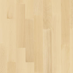 Tarkett Proflex M (Wood-Sprung - A4)