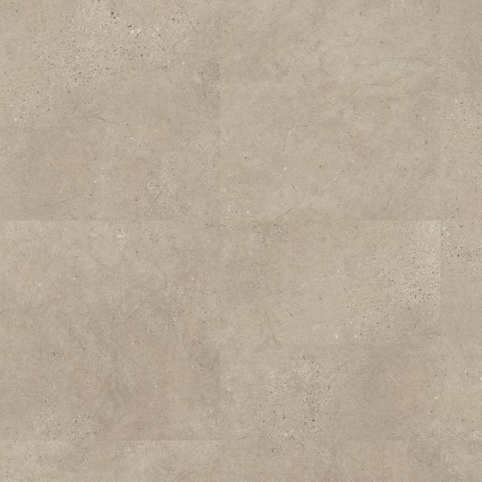 Fossil Limestone 4537