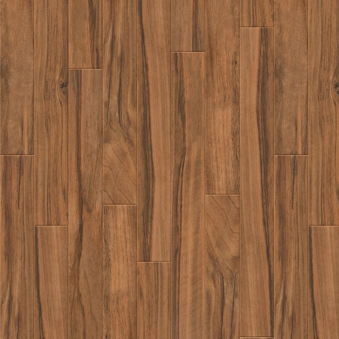 French Nut Tree 2976