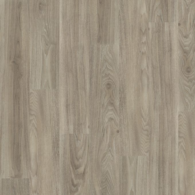 Light Elm 6506