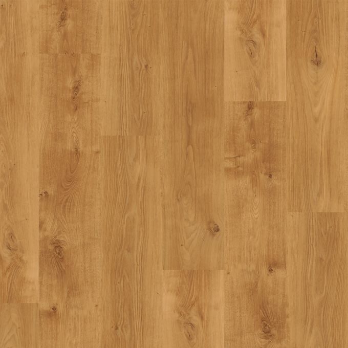 Light Cherry 2501