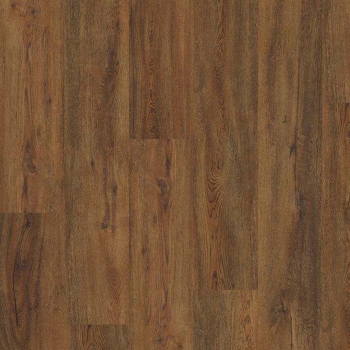 Roasted Oak 4079