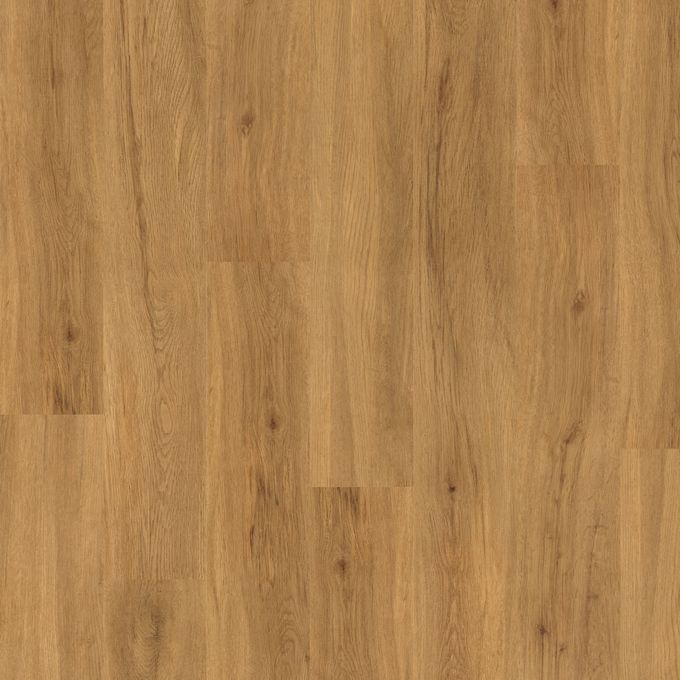 Schoolhouse Oak 4434