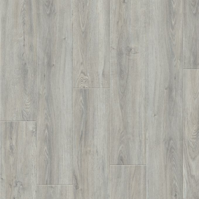 Ashen Oak 2818