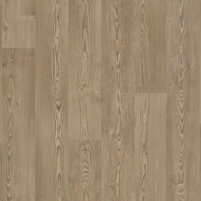 Golden Pine 9838
