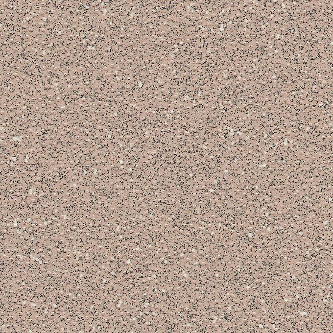 Oystershell H4800