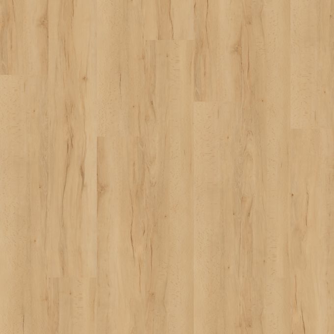 Summer Maple 3429