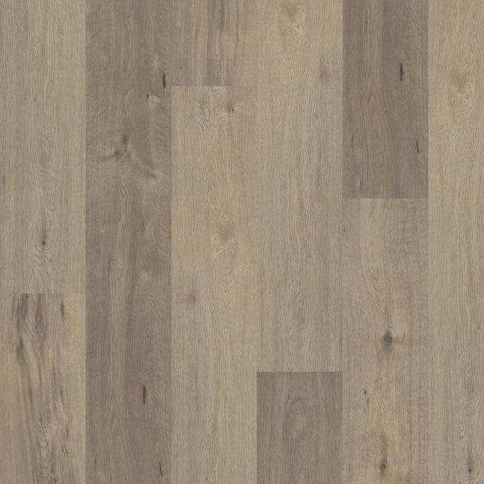 Dockyard Timber 3465