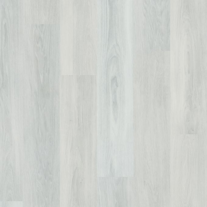 White Ash 2574