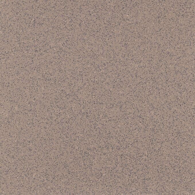 Siltstone 4205