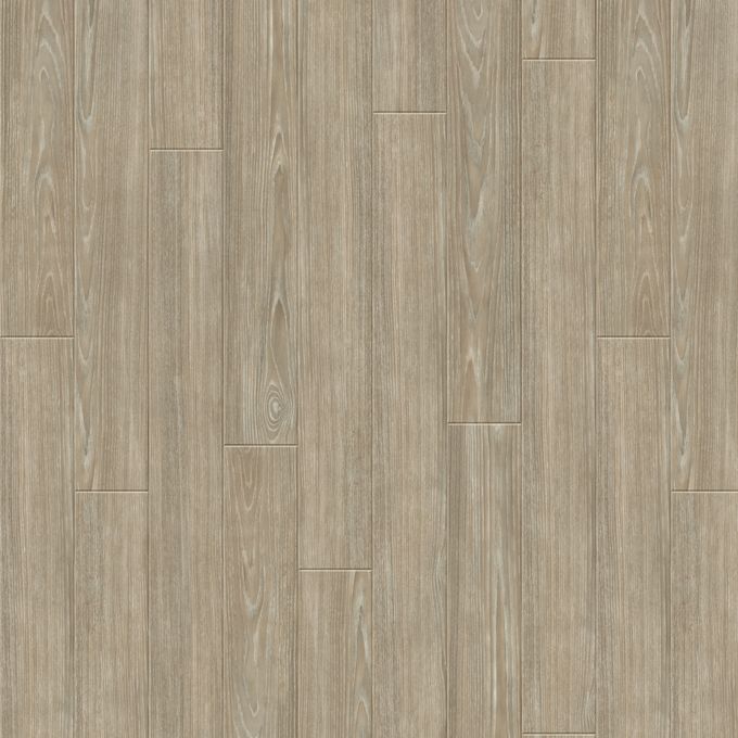 Grey Ash 2998
